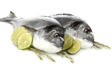 iki balık dorado limon ile üzerine beyaz izole.