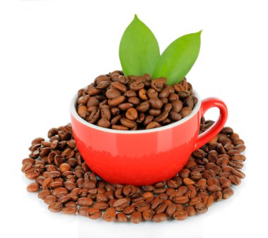 kahve çekirdekleri üzerine beyaz izole Kupası