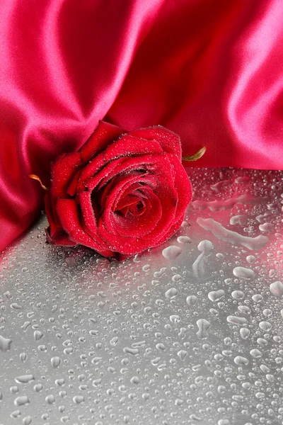 Hermosa rosa roja y tela de seda sobre fondo gris húmedo — Foto de Stock