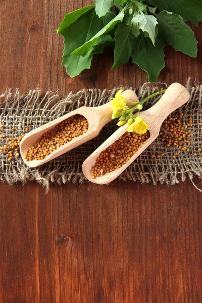 Mustard seeds with mustard flower on wooden background — Stock Photo, Image