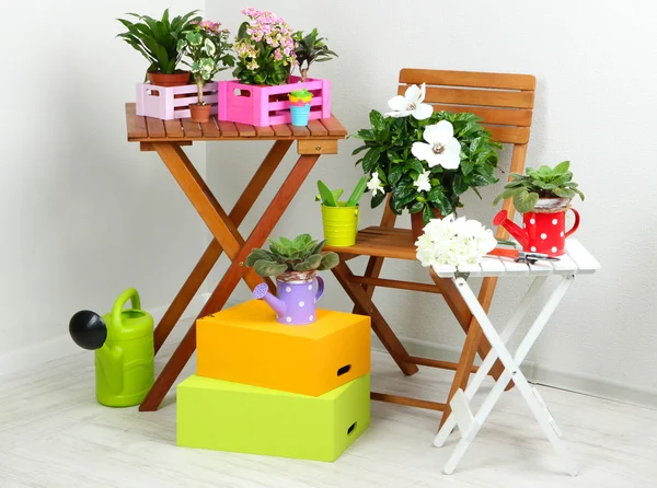 Många vackra blommor på bord och stol i rummet — Stockfoto