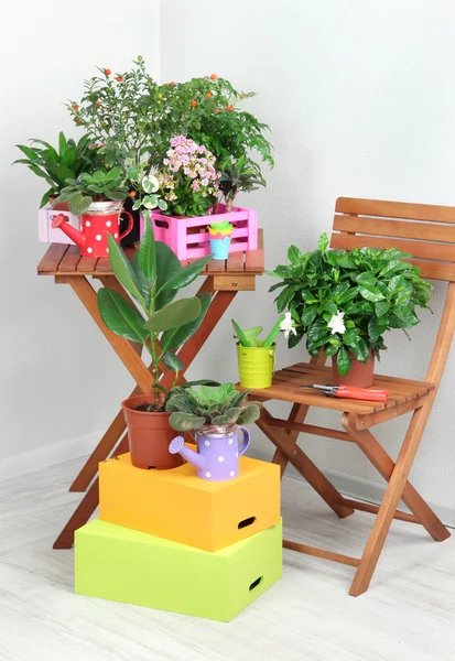 Muitas flores bonitas na mesa e cadeira no quarto — Fotografia de Stock