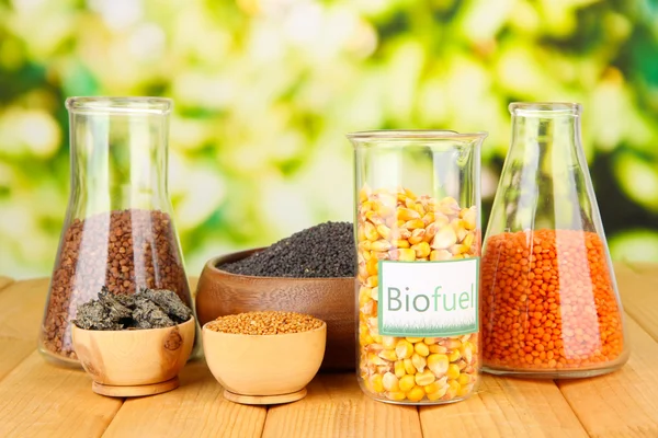 Foto conceptual de biocombustible. Sobre fondo brillante —  Fotos de Stock