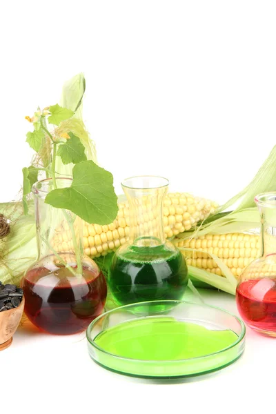Konceptuella foto av biobränsle från majs och raps frön. isolerad på vit — Stockfoto
