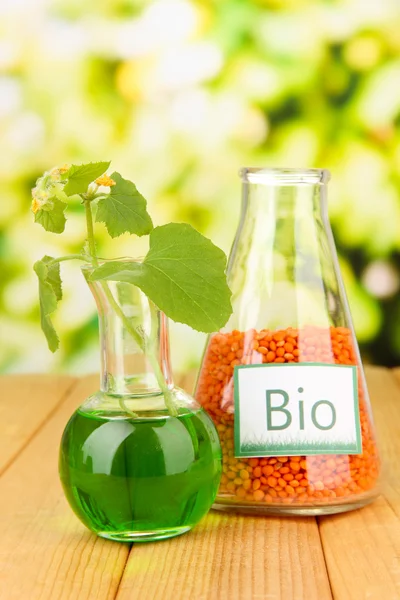 Foto conceitual do biocombustível da lentilha. Em fundo brilhante — Fotografia de Stock