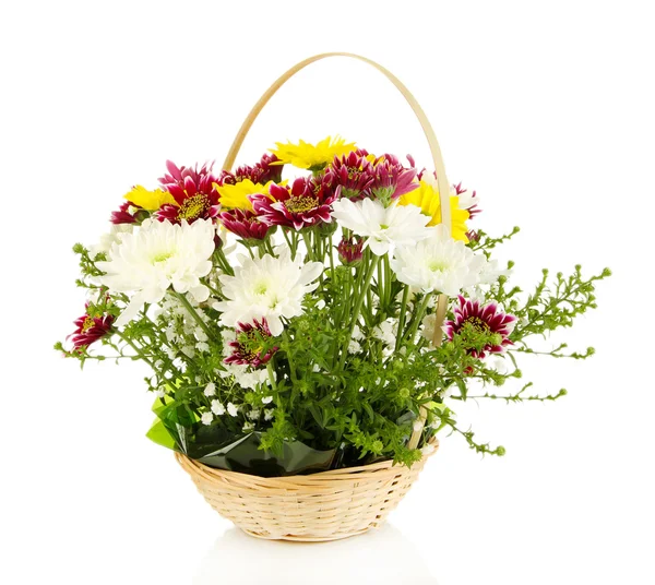 Mooie bloemen geïsoleerd op wit — Stockfoto