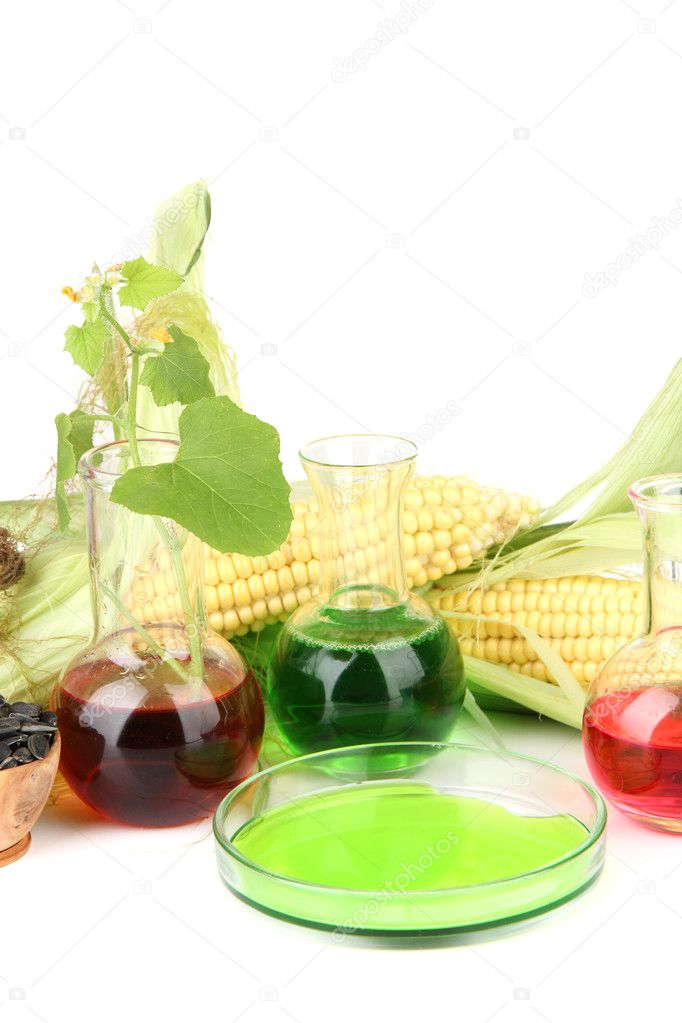 Conceptual photo of bio fuel from corn and rape seeds. Isolated on white