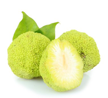osage turuncu meyveler (maclura pomifera), üzerinde beyaz izole