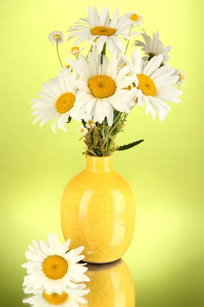 Gyönyörű csokor chamomiles vázában színes háttérrel — Stock Fotó