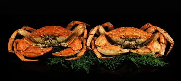 Gekookte krabben geïsoleerd op zwart — Stockfoto