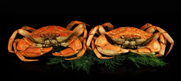 Boiled crabs isolated on black — Stock Photo, Image