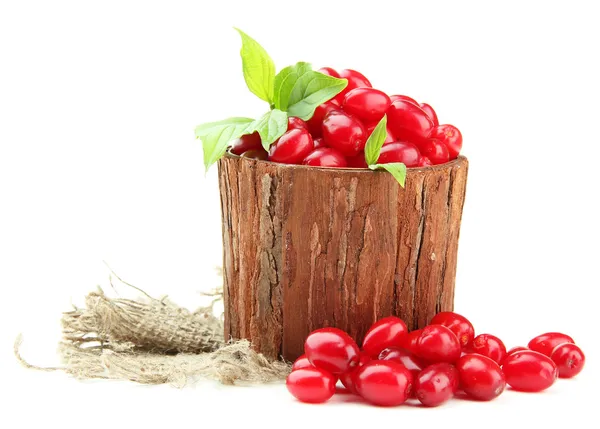 Fresh cornel berries in wooden vase, isolated on white — Stock Photo, Image