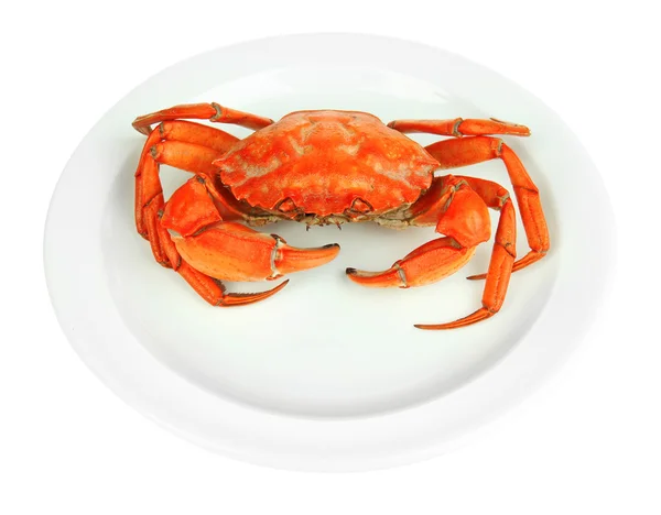 Crabe bouilli sur plaque blanche, isolé sur blanc — Photo