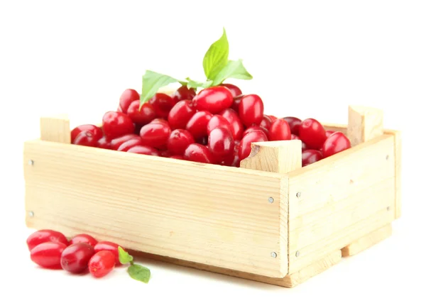 Свіжі карнизні ягоди в дерев'яній ящику, ізольовані на білому — стокове фото