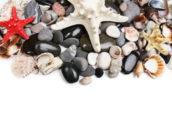 Close up of sea stones and shells — Stock Photo, Image