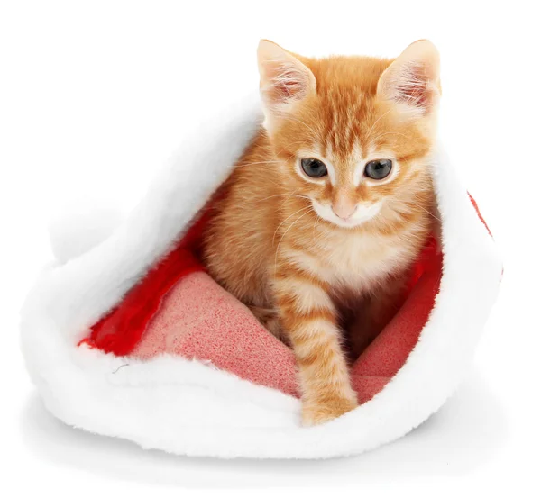 Cute little red kitten in Santa hat isolated on white — Stock Photo, Image