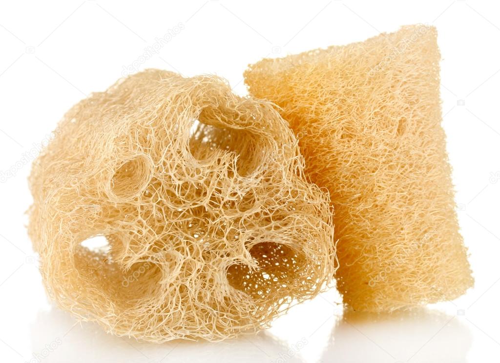 Loofah isolated on white — Stock Photo © belchonock 31901041