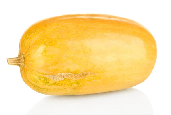 Calabaza madura aislada en blanco — Foto de Stock