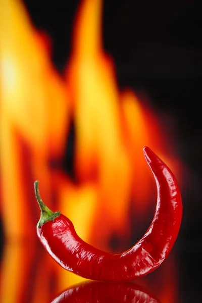 Röd varm chili peppar på eld bakgrund — Stockfoto