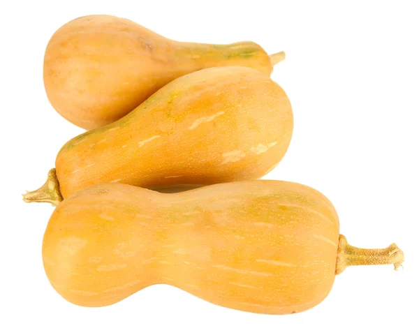 Ripe pumpkins isolated on white — Stock Photo, Image