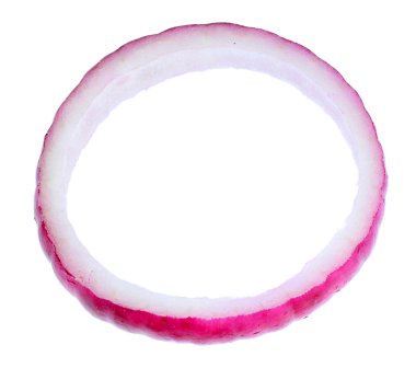 soğan halkası üzerinde beyaz izole