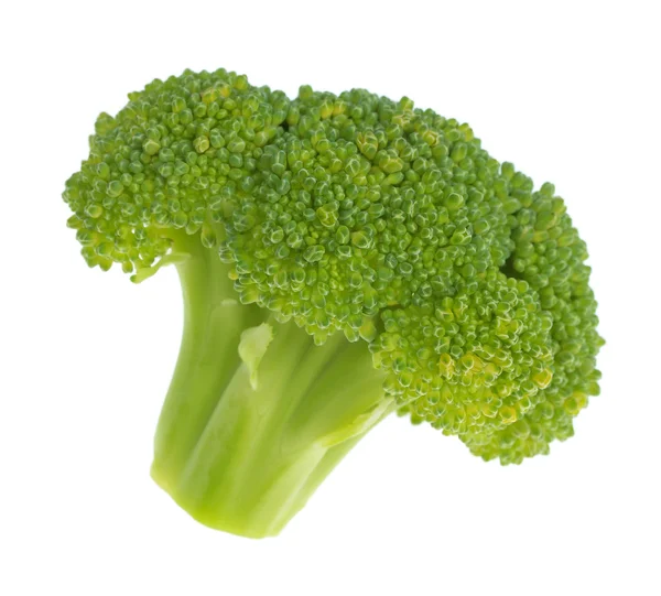 Broccoli isolati su bianco — Foto Stock