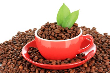 kahve çekirdekleri fincan beyaz zemin üzerine