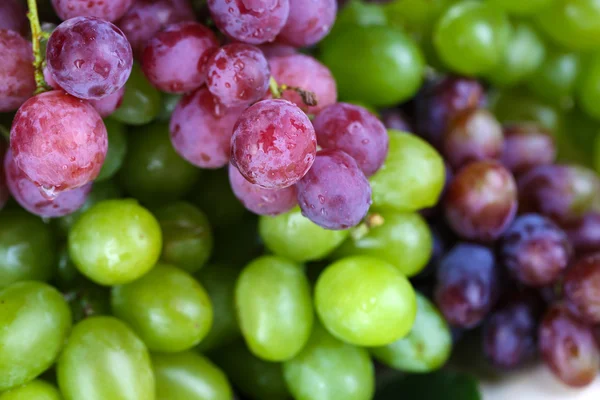 Uvas verdes maduras e roxas fundo close-up — Fotografia de Stock