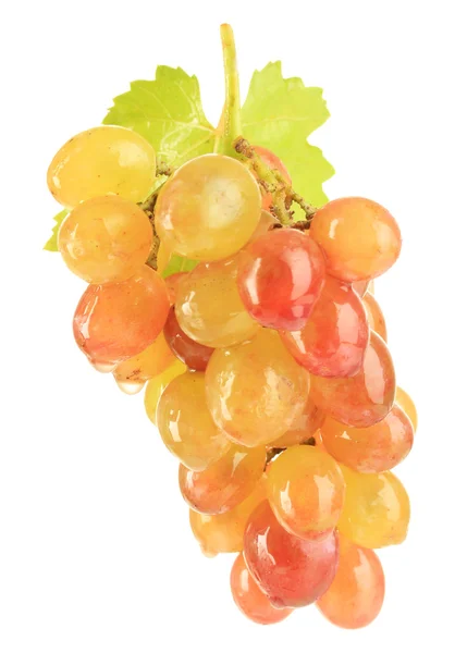 成熟的甜葡萄，孤立在白色 — 图库照片
