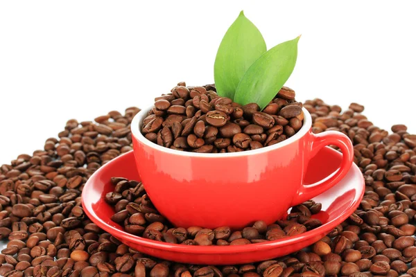 Kaffebönor i cup på vit bakgrund — Stockfoto
