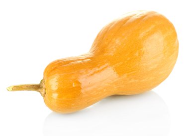 Olgun balkabağı beyaz izole