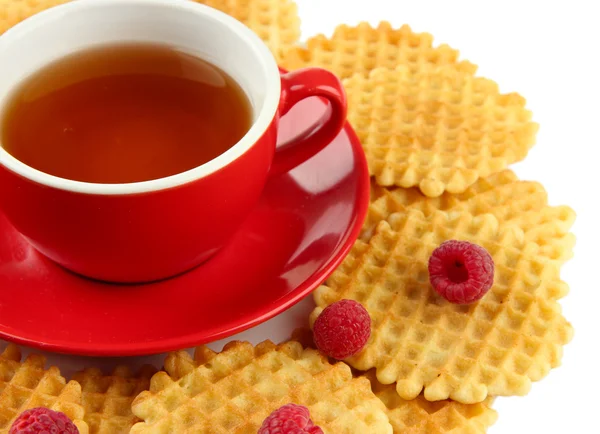 Cup of tea with cookies and raspberries close-up — Stock Photo, Image