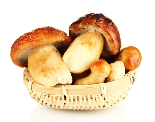 Champignons frais dans le panier isolé sur blanc — Photo