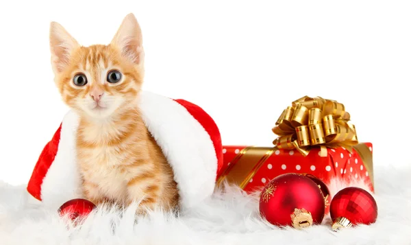 红色的可爱小猫在圣诞老人帽子上白色隔离 — 图库照片