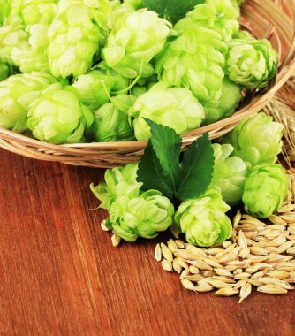 hasır sepet ve arpa, ahşap zemin üzerinde taze yeşil şerbetçiotu