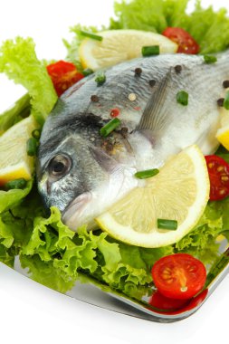 Dorado balığı yakın çekim