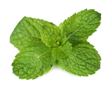 Beyazda izole edilmiş nane