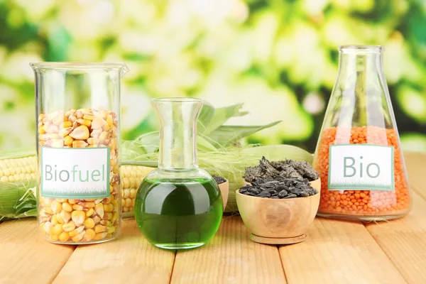 Conceptual photo of bio fuel. On bright background — Zdjęcie stockowe