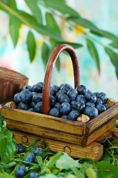 在草地上自然背景上木制篮子里的蓝莓 — 图库照片