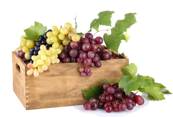 Surtido de uvas dulces maduras en cajón de madera, aisladas en el blanco —  Fotos de Stock