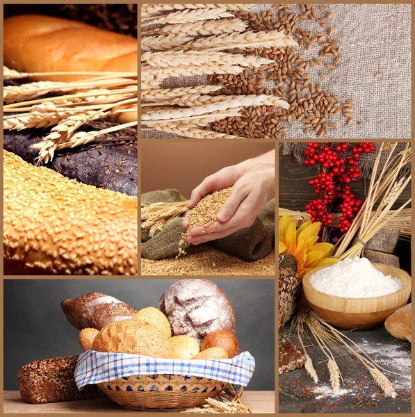 Bread and harvesting wheat collage — Stock Photo, Image