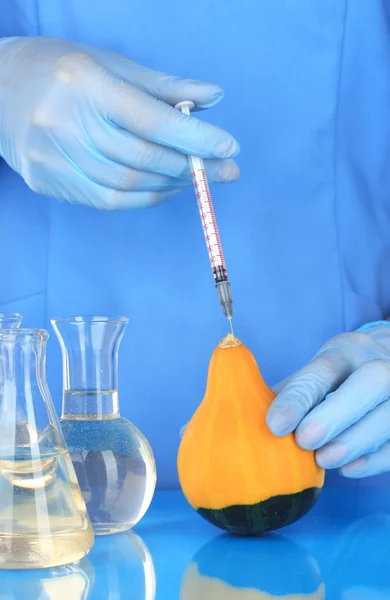 Scientists make injection into fresh pumpkin in laboratory — Stock Photo, Image