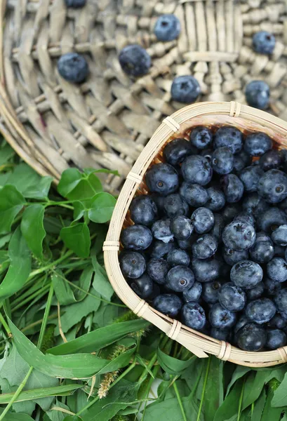 Bleuets dans un panier en bois sur plateau en osier sur herbe — Photo