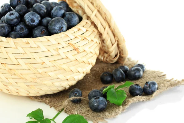 Blueberries in wooden basket on sackcloth isolated on white — Stock Photo, Image