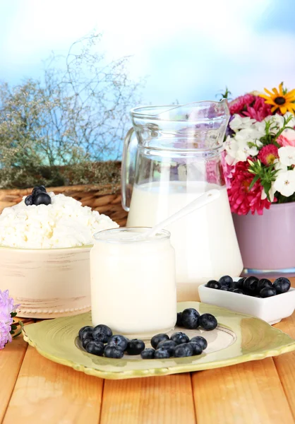 Fresh dairy products with blueberry on wooden table close-up — Stock Photo, Image