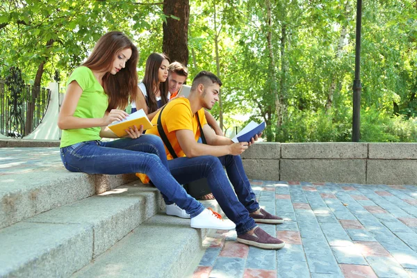 Grupo feliz de jovens estudantes sentados no parque — Fotografia de Stock