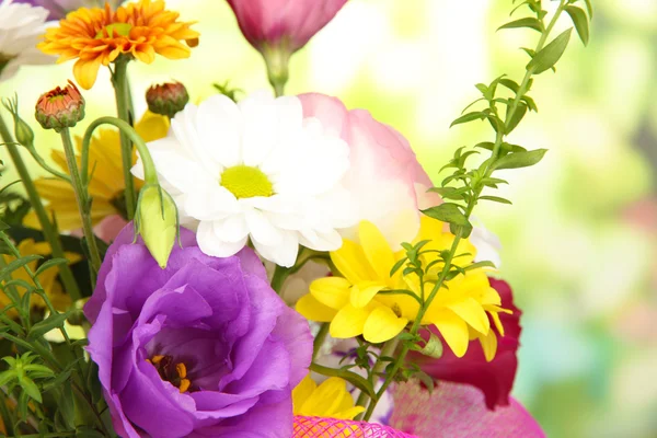 Beautiful flowers on bright background — Stock Photo, Image