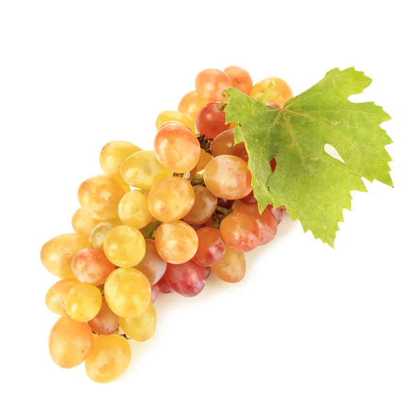 Стиглий солодкий виноград, ізольований на білому — стокове фото