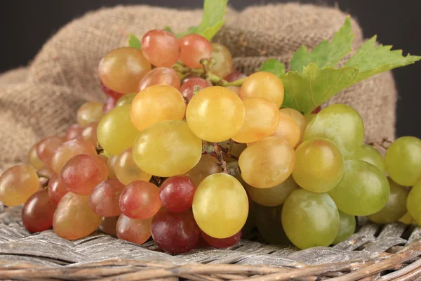 Reife süße Traube, Nahaufnahme — Stockfoto