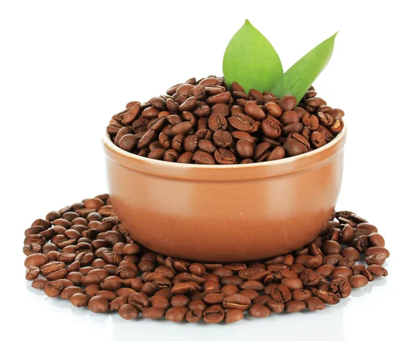 Kávová zrna v misce izolovaných na bílém — Stock fotografie